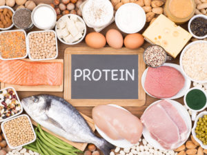 Protein fuels muscle growth.