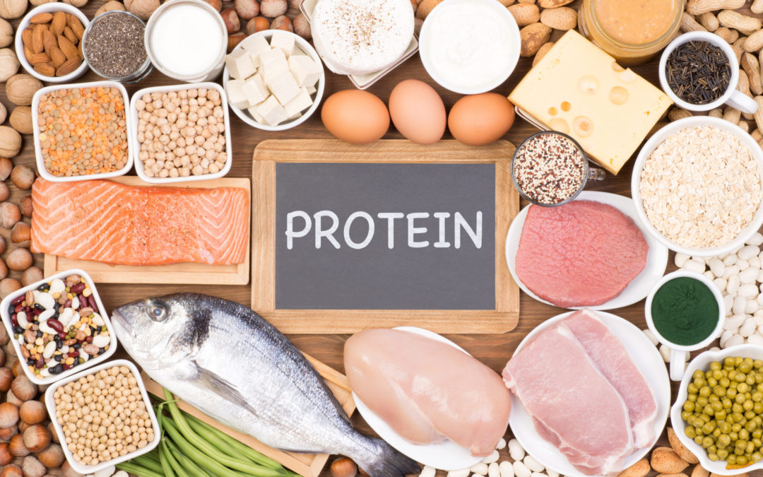 Protein fuels muscle growth.