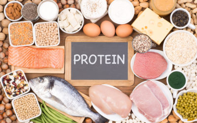 Strength Starts Here: How protein fuels muscle growth
